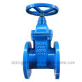 Cast/Ductile Iron Rising Stem Gate Valve